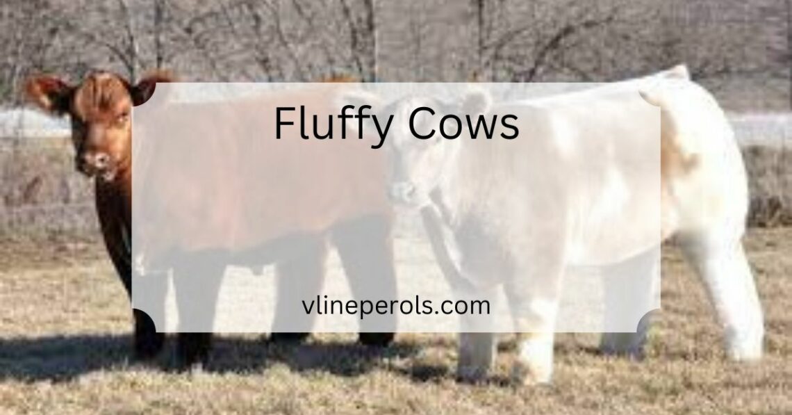 Fluffy Cows