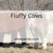 Fluffy Cows