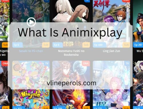 What Is Animixplay