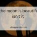 “the moon is beautiful isn't it