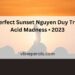 Perfect Sunset Nguyen Duy Tri • Acid Madness • 2023