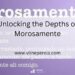 Unlocking the Depths of Morosamente