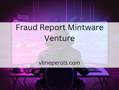 Fraud Report Mintware Venture