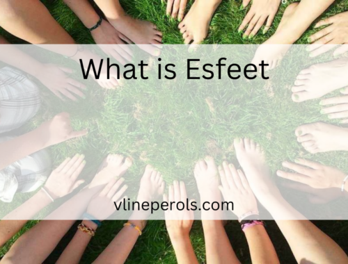 What is Esfeet