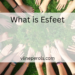 What is Esfeet