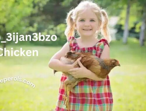 Live:p_3ijan3bzo= Chicken